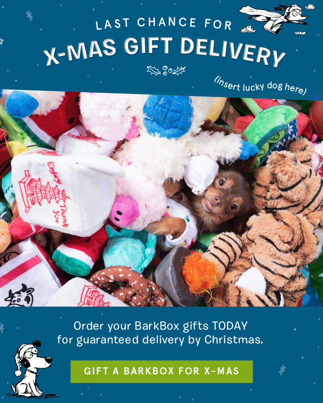 Read more about the article BarkBox – Last Call for Holiday Shipping!