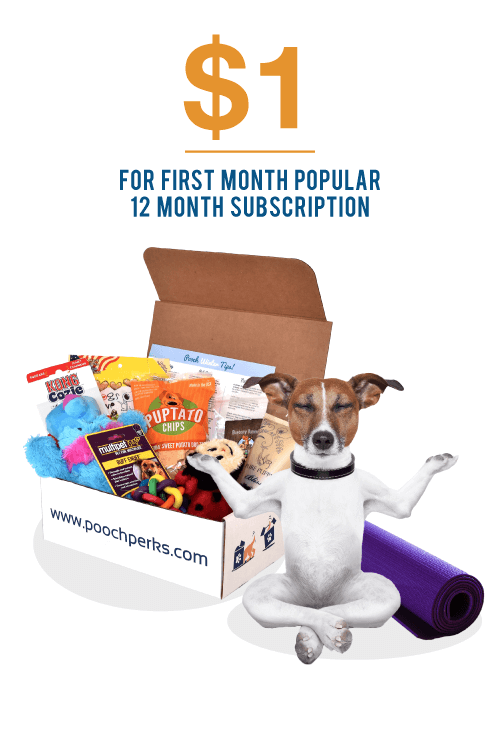 Read more about the article Pooch Perks – First Box $1 with a 12-Month Subscription