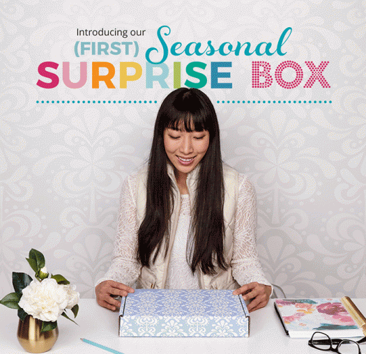 Erin Condren Seasonal Surprise Box Subscription Box Ramblings