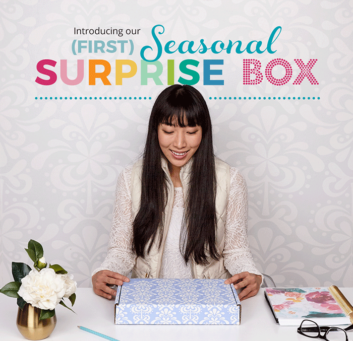 Read more about the article Erin Condren Seasonal Surprise Box