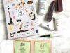 Birchbox Review + Coupon Codes – January 2017