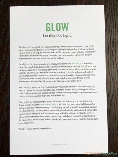 Bespoke Post Review - January 2017 "Glow"