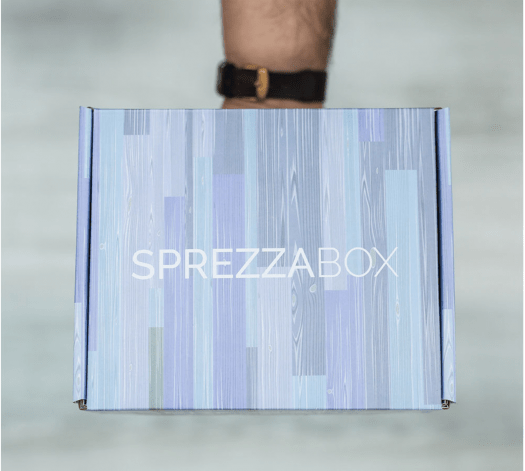 Read more about the article SprezzaBox January 2017 Spoiler!