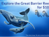 Junior Explorers – Great Barrier Reef for < $10!