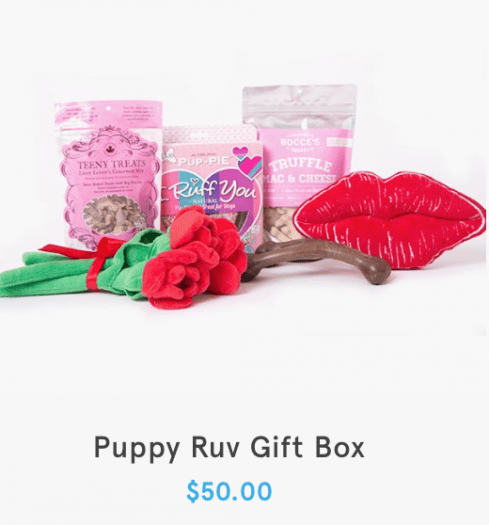 Read more about the article BarkBox Valentine’s Day Gift Boxes – Now Available!