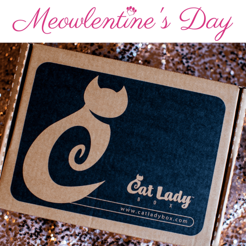 Read more about the article Cat Lady Box February 2017 Theme Reveal + 10% Off Coupon Code