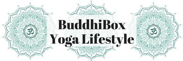 Read more about the article BuddhiBox February 2017 – Full Spoilers