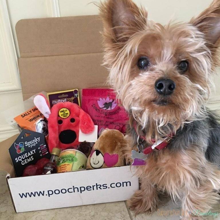 Pooch Perks Review + Coupon Code February 2017 Subscription Box