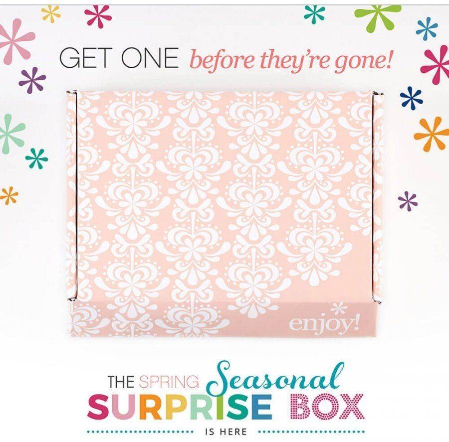 Erin Condren Spring 2017 Seasonal Surprise Box (Last Call