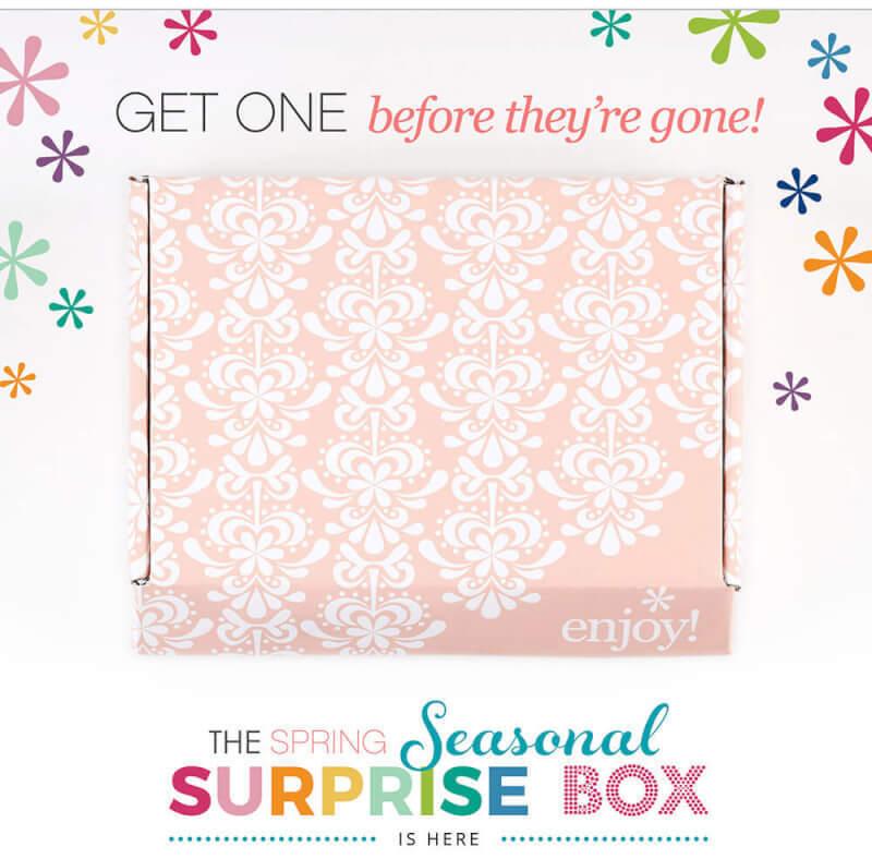 Read more about the article Erin Condren Spring 2017 Seasonal Surprise Box (Last Call)