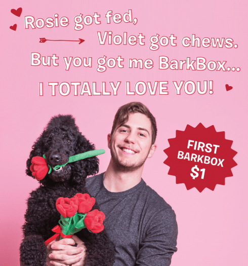 BarkBox Coupon Code - First Month for $1 on 6 or 12-month Plans!
