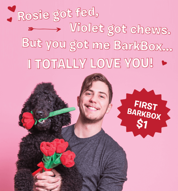 BarkBox Coupon Code – First Month for $1 on 6 or 12-month Plans!