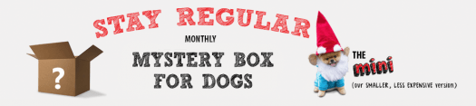 That Daily Deal Mini Monthly Mystery Box For Dogs!