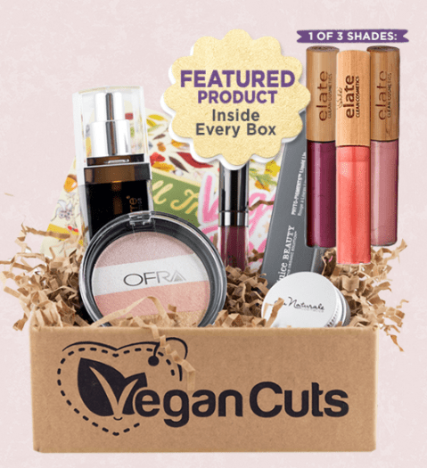 Vegan Cuts Spring 2017 Makeup Box Spoiler #2