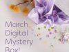 Cricut March 2017 Mystery Box – On Sale Now + Coupon Code