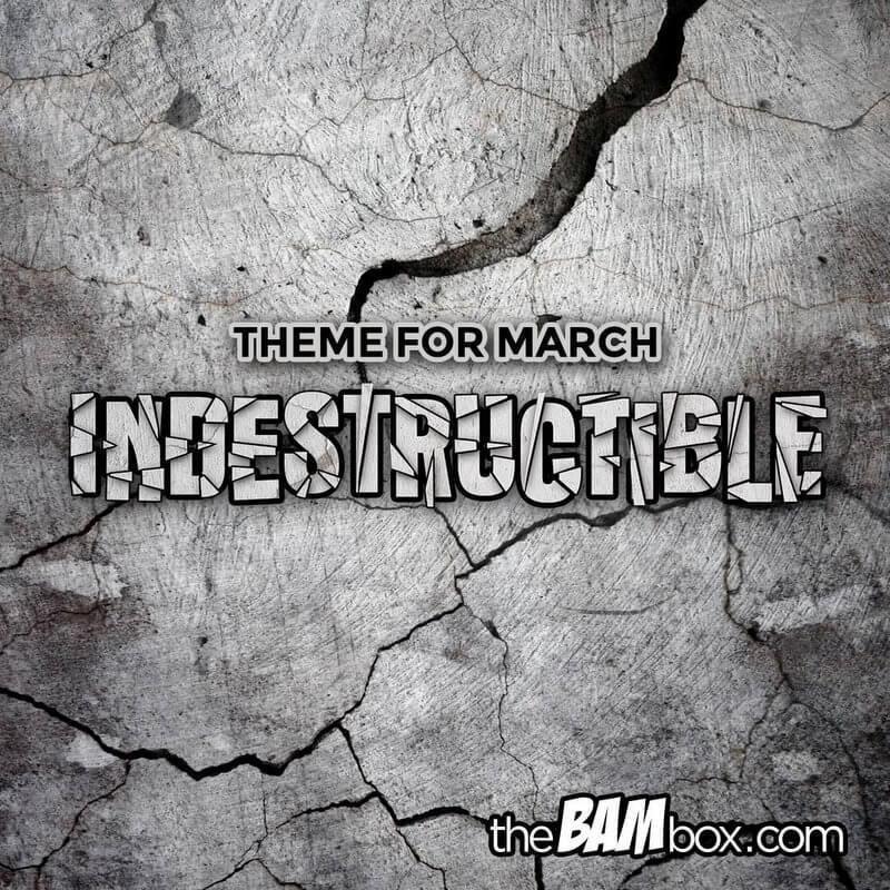 Read more about the article The BAM! Box March 2017 Theme Spoilers + Coupon