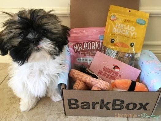 BarkBox Coupon Code – 50% Off First Month on 6 or 12-month Plans!