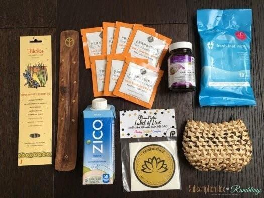 BuddhiBox Review – March 2017