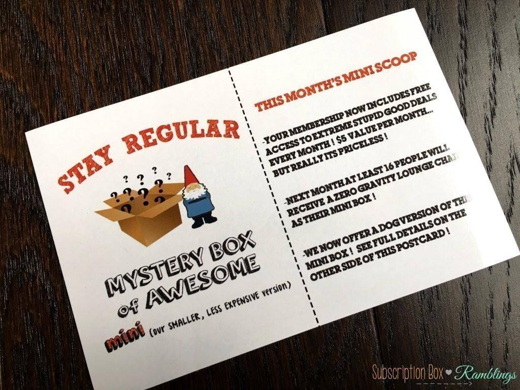 Mini Monthly Mystery Box of Awesome Review March 2017 Subscription