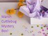 Cricut March 2017 Mystery Box #2 – On Sale Now + Coupon Code