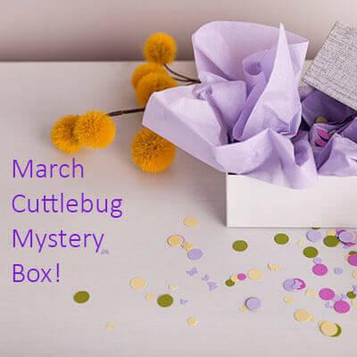 Download Cricut March 2017 Mystery Box #2 - On Sale Now + Coupon Code - Subscription Box Ramblings