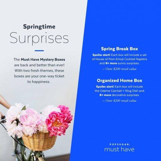 POPSUGAR Must Have - Organized Home & Spring Break Mystery Boxes (Last Call)