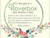 Kloverbox Coupon Code – Save 15% Off!