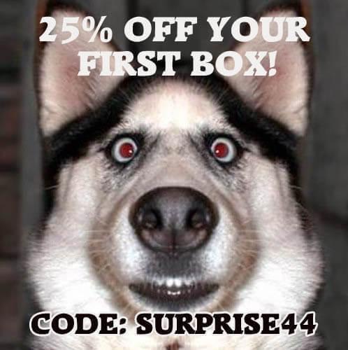 Read more about the article Pet Treater – Save 25% Off Your First Box!