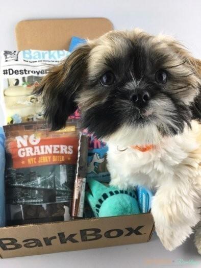 Read more about the article BarkBox Review + Coupon Code – April 2017