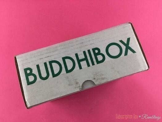 BuddhiBox Review - April 2017