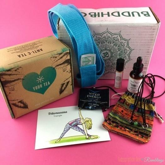 Read more about the article BuddhiBox Review – April 2017