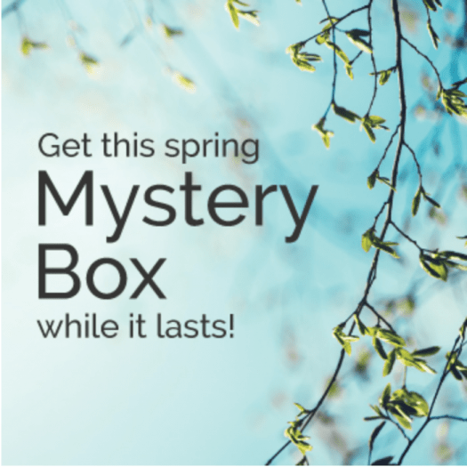 Cricut April 2017 Mystery Box - On Sale Now + Coupon Code