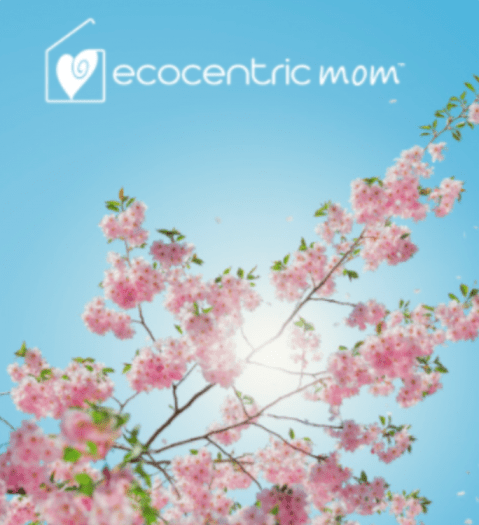Ecocentric Mom May 2017 Spoilers + Coupon Code