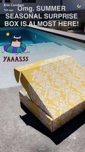 Erin Condren Summer 2017 Seasonal Surprise Box Sneak Peek!