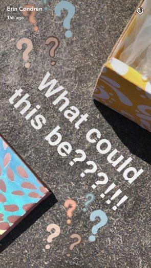 Erin Condren Summer 2017 Seasonal Surprise Box Sneak Peek!