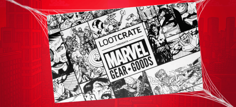 Read more about the article Loot Crate Marvel Gear + Goods July 2017 Theme Spoiler