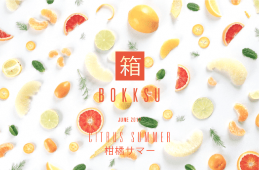 Bokksu June 2017 Theme Reveal / Spoilers + Coupon Code!