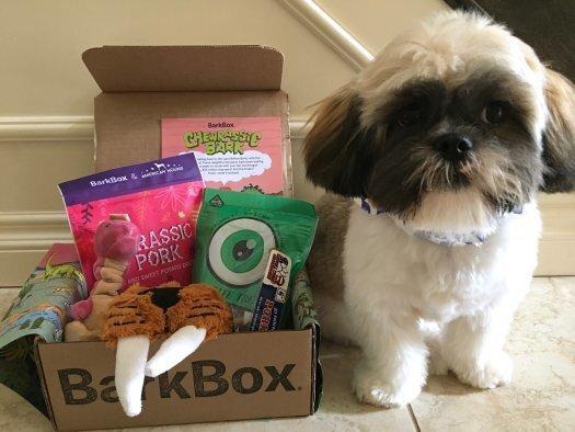 BarkBox Subscription Review + Coupon Code – June 2017