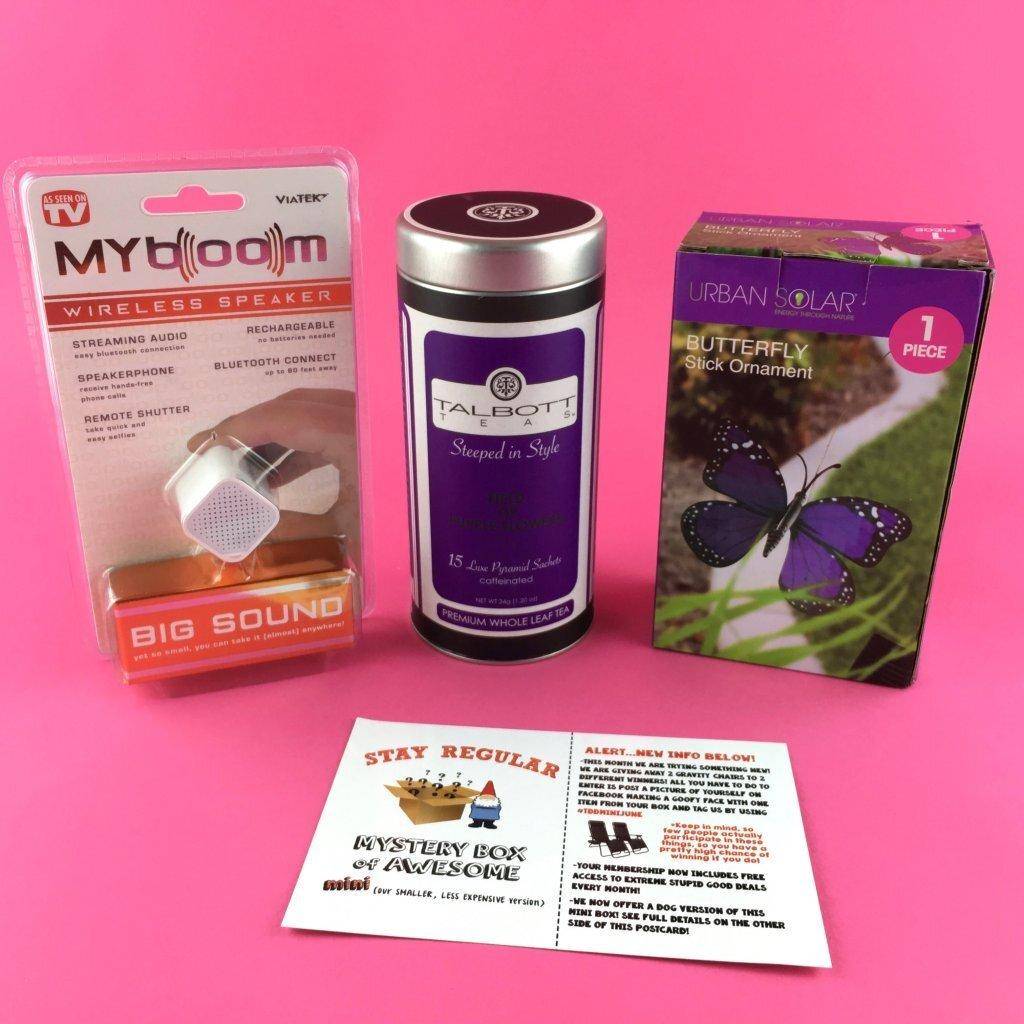 Mini Monthly Mystery Box of Awesome Review June 2017 Subscription