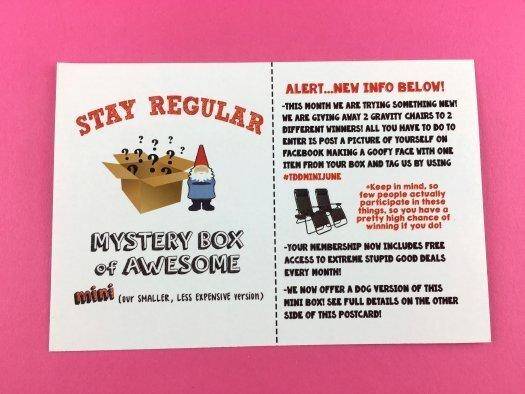 Mini Monthly Mystery Box of Awesome Review - June 2017