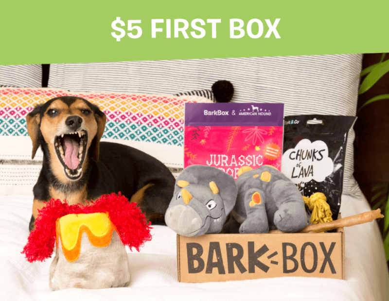 Read more about the article BarkBox Coupon Code – $5 First Box on 6 or 12-month Plans (Last Day)!