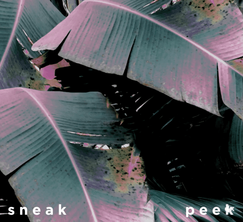 Fabletics July 2017 Sneak Peek + 2 for $24 Leggings!!!!