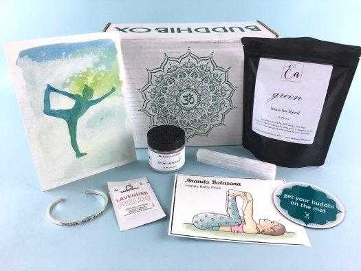 Read more about the article BuddhiBox Review – May 2017
