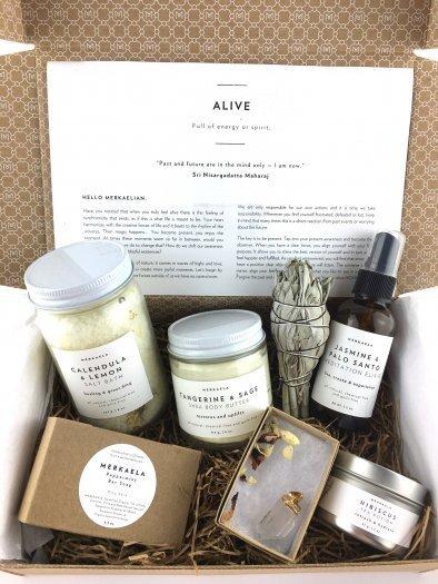 Read more about the article Merkaela Summer 2017 Alive Box Review