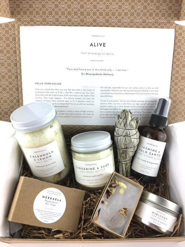 Read more about the article Merkaela Summer 2017 Alive Box Review
