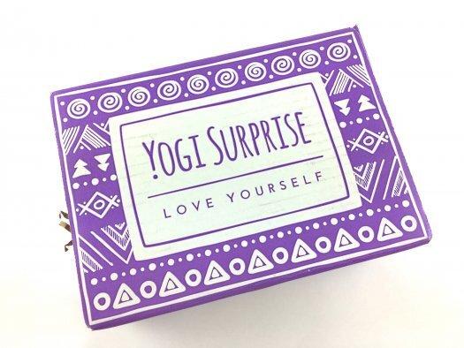 Yogi Surprise Review + Coupon Code - July 2017