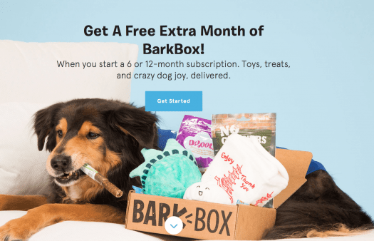 BarkBox Coupon Code: Free Extra Month with 6 or 12-Month Subscription