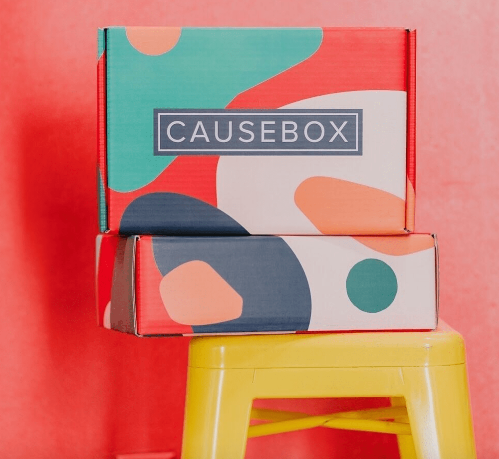 Read more about the article CAUSEBOX Fall 2017 **Full Spoilers** + Coupon Code