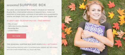 Erin Condren Fall 2017 Seasonal Surprise Box - On Sale Now!