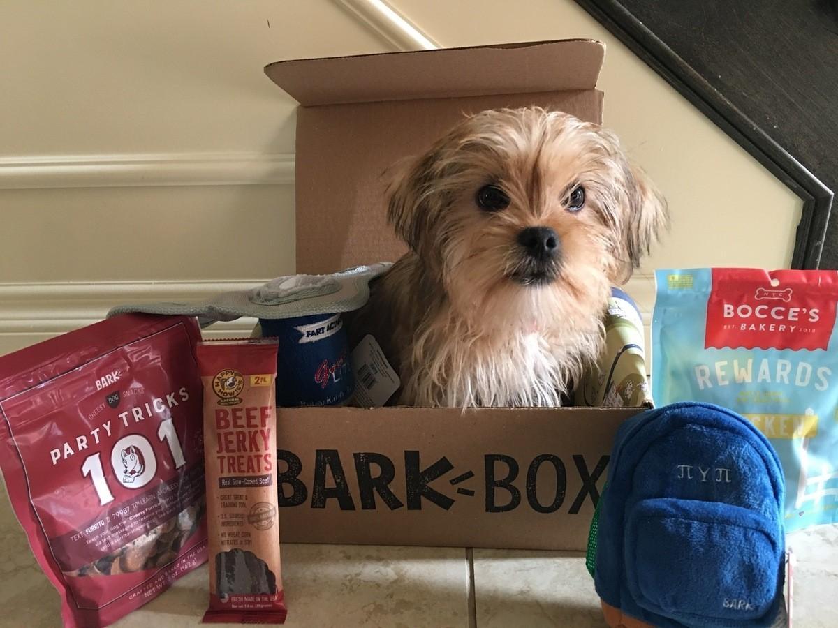 BarkBox Subscription Review + Coupon Code – September 2017